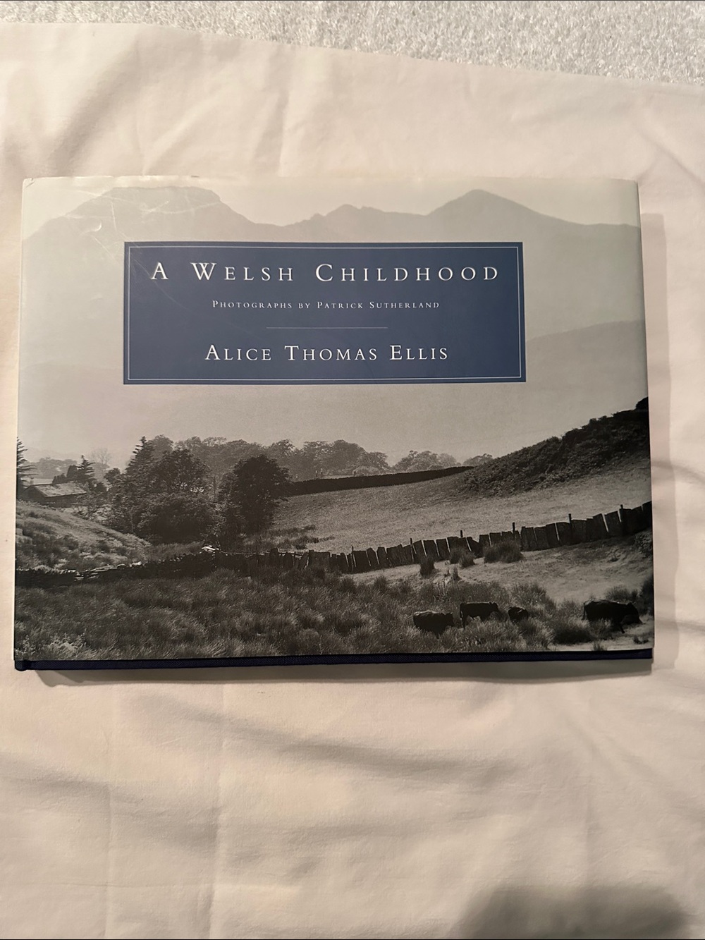 A Welsh Childhood by Alice Thomas Ellis - Hardcover Book